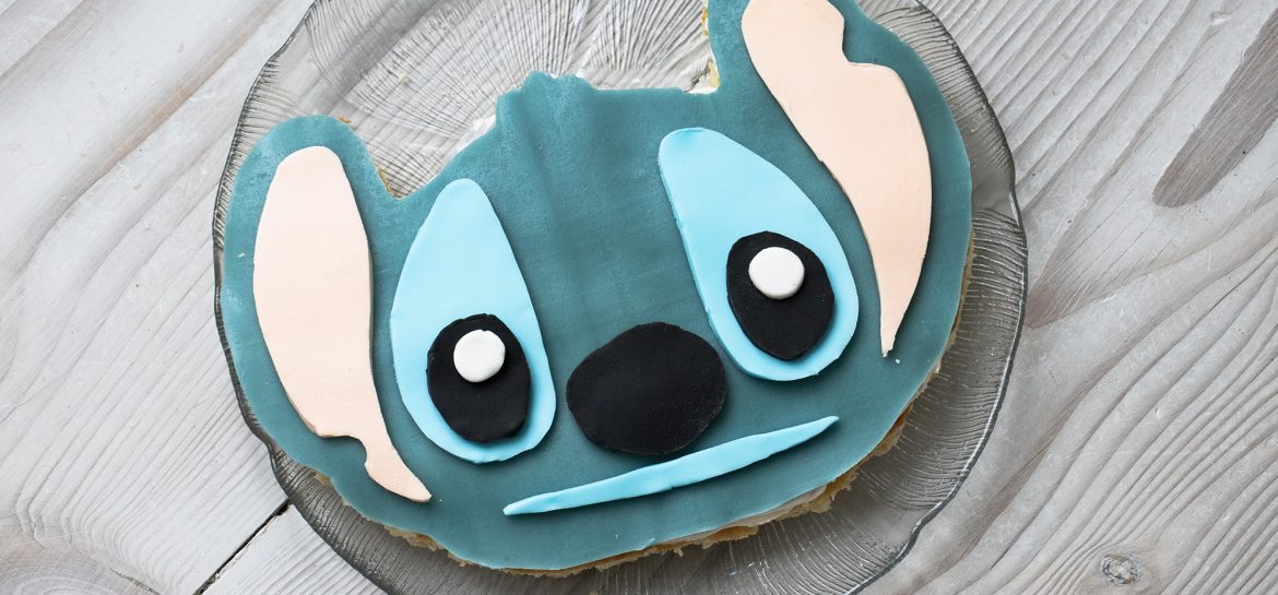 Stitch-kagen
